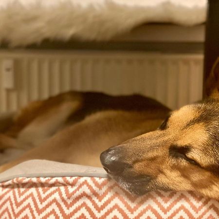 194 Fewo Dat Luetjehuus Mit Dachterrasse Im Ersten Stock Лютьєнбурґ Екстер'єр фото
