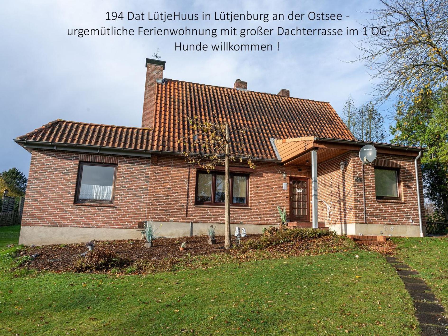 194 Fewo Dat Luetjehuus Mit Dachterrasse Im Ersten Stock Лютьєнбурґ Екстер'єр фото